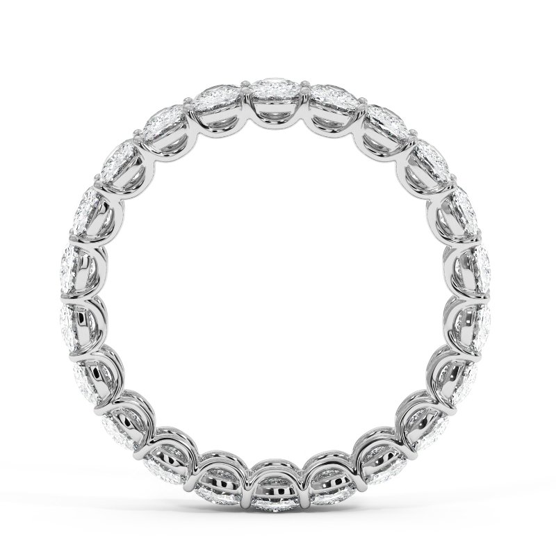 Platinum Naya Eternity Band